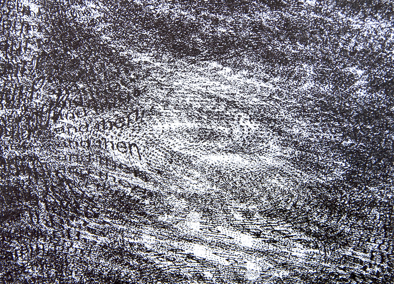 Lasso detail 2026